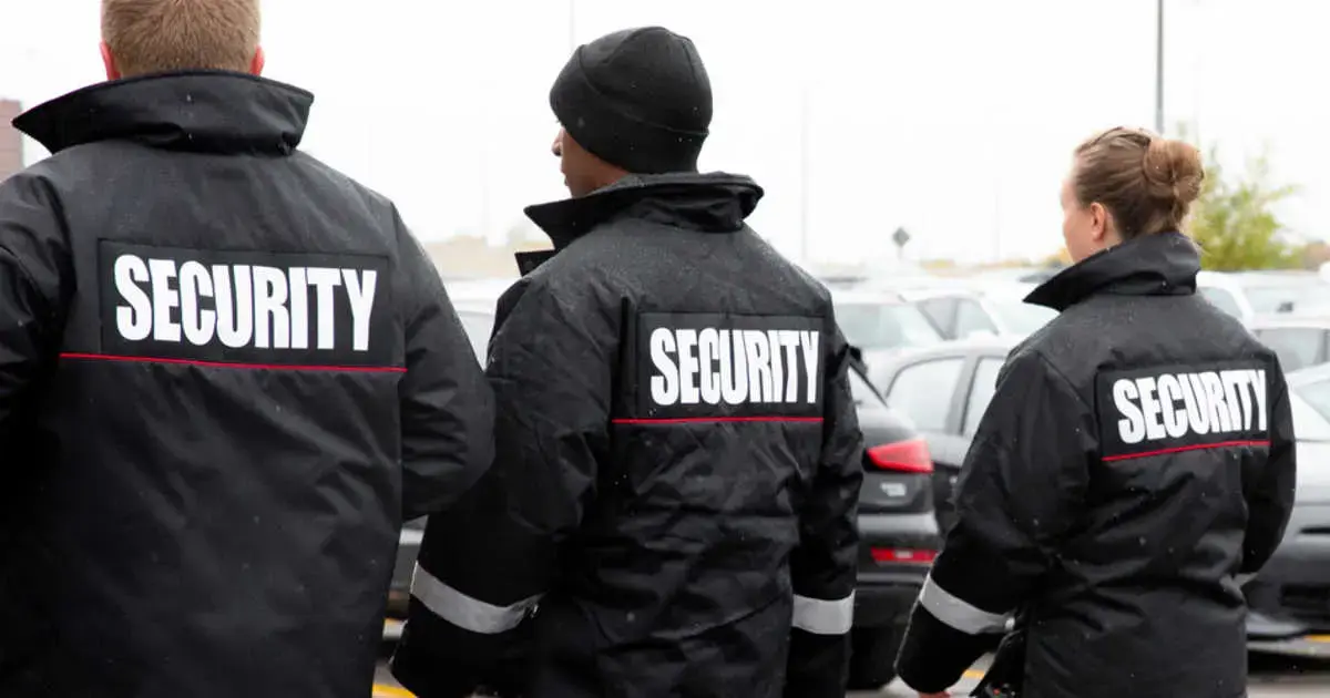Professional Security Team